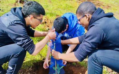 Sensibilización medioambiental, reforestación.